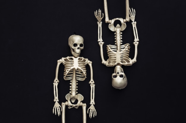 Two fake skeletons on black. Halloween decoration, scary theme