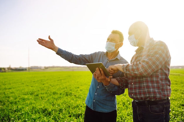 Two Farmers in medical masks discuss agricultural issues on green wheat field Agro business Covid19.