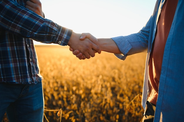 Two farmers shaking hands in soybean field