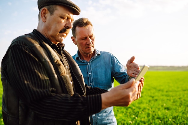 Two Farmers uses specialized app on digital tablet for checking wheat Agriculture ecology concept