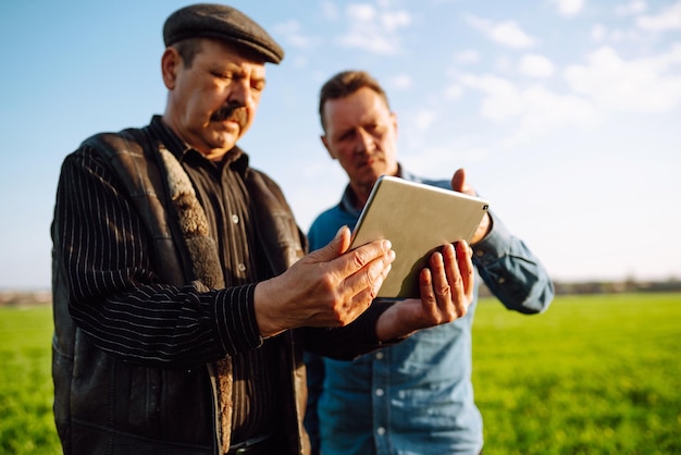 Foto two farmers utilizza un'app specializzata su tablet digitale per il controllo del grano agricoltura, concetto di ecologia