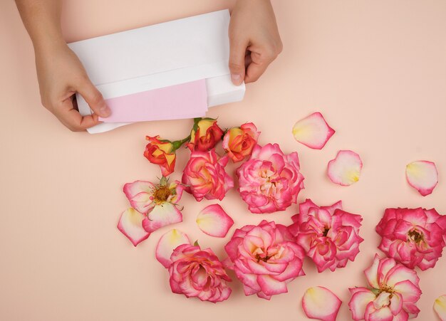 Two female hands are holding a white paper envelope in the middle of blooming rose buds