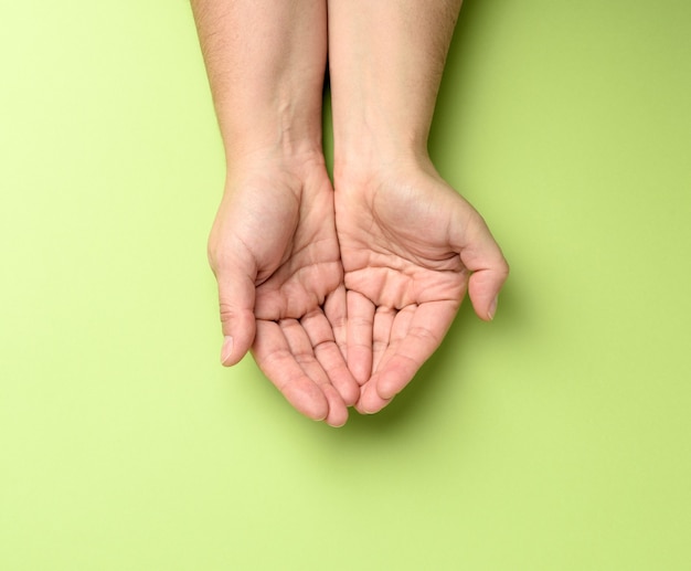Two female hands folded palm to palm on green, top view