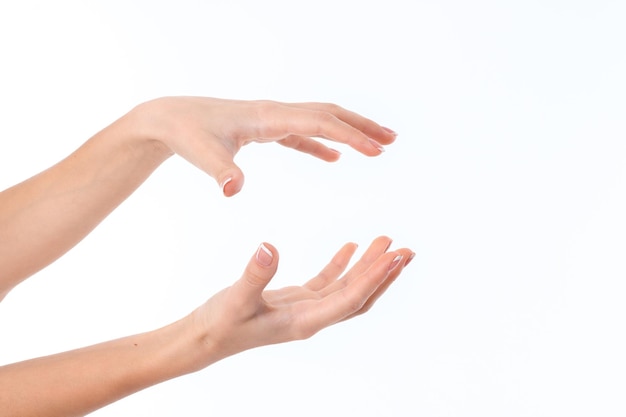 Two female hands one opposite the other isolated on white background