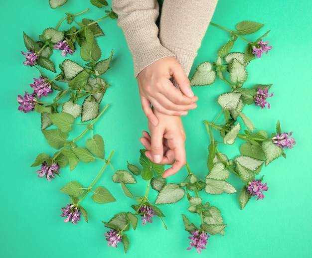 Foto due mani femminili e piccoli fiori rosa