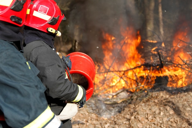 Two firemen extinguish forest fireExtinguish the fire