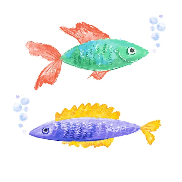 Two fish on a white background