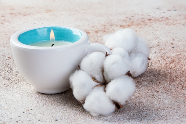 Two flowers of cotton on concrete background