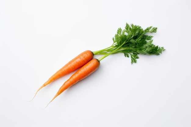 Two fresh carrots with green leaves isolated on white background Healthy food and vegetables