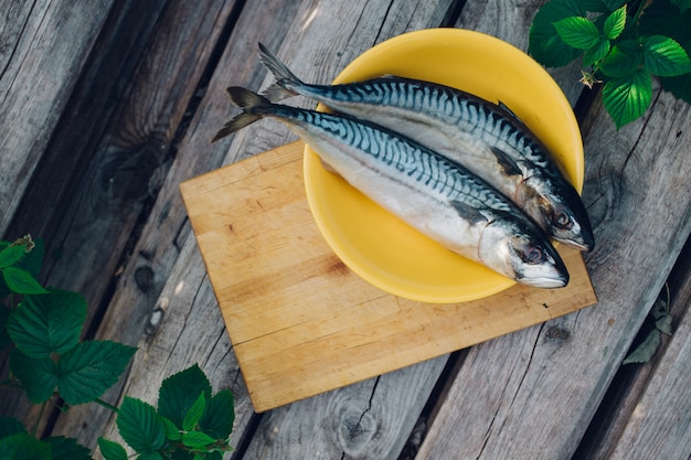 Due pesci freschi su un tagliere, cottura sgombri, code di pesce vicino