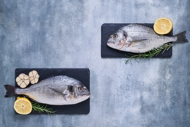 Due dorade reali fresche sullo spazio della copia di vista superiore di concetto sano dell'alimento del fondo blu