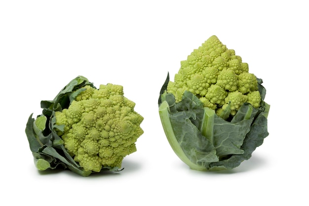 白い背景に隔離された2つの新鮮なミニロマネスコキャベツ