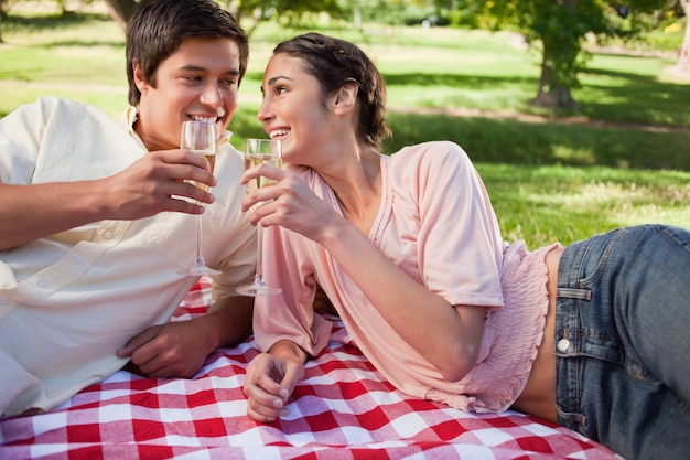 Two friends having a toast during a picnic