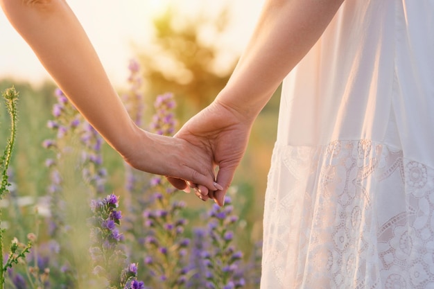 Two friends holding hands in a field at sunset