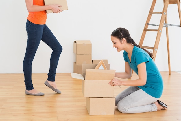 Two friends moving together in a new house