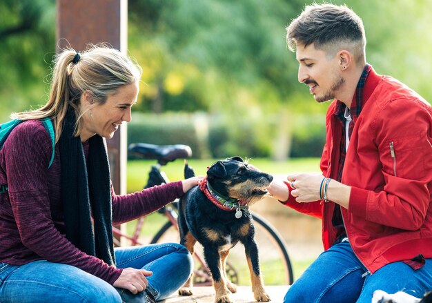 Two friends petting a small dog while sitting in a brick wall of a public park