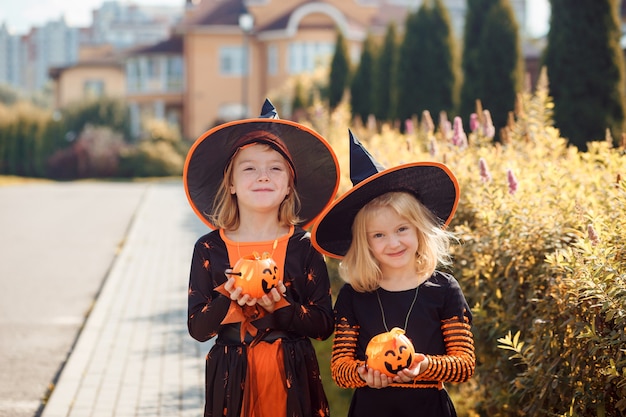 Two funny girls in halloween costumes are holding jack o lanterns in their hands outdoors in autumn ...