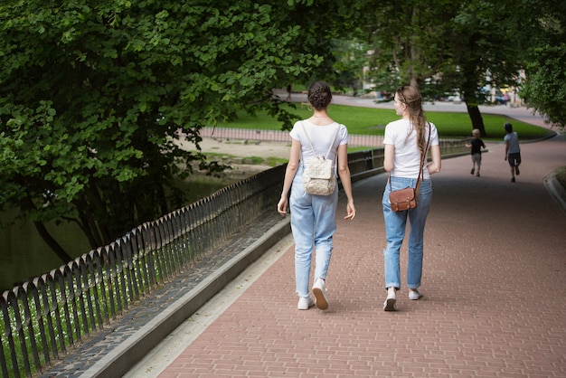 Due amiche vanno nel vicolo del parco. gli studenti in estate camminano nel parco. vista posteriore