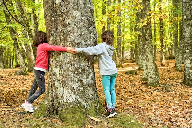 Two girls hugging a centuryold chestnut tree in a forest in autumn