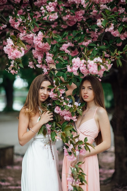 Two girls near a flowering tree. For example, a portrait of a young beautiful fashionable lady