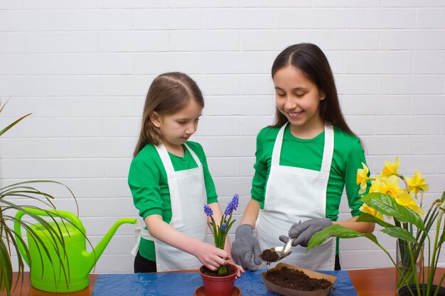 Two girls sisters dressed in green tshirts and aprons transplant flowers