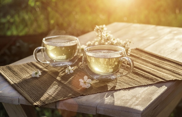 Two glass cups with green tea decorated with white cherry flowers on wooden table in spring garden