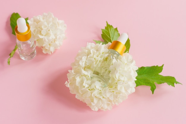 Two glass dropper bottles for medical and cosmetic use and white tender blossom flowers on a light pink background. Skin care and SPA concept.