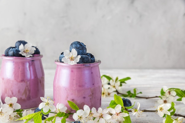 Two glasses of blueberry yogurt served with fresh blueberries and spring blossom cherry flowers