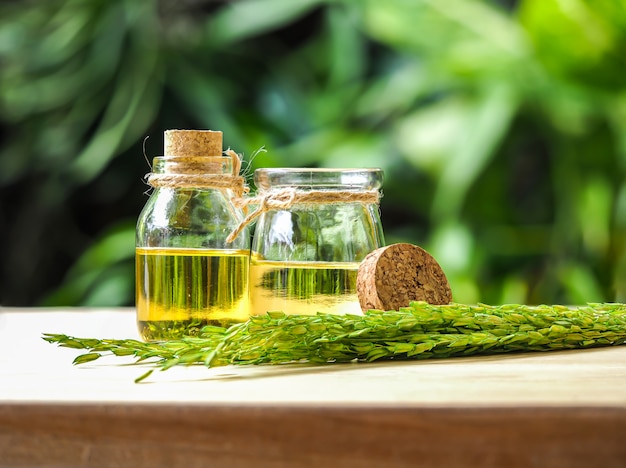 Two glasses bottles of rice bran oil in sunlight green