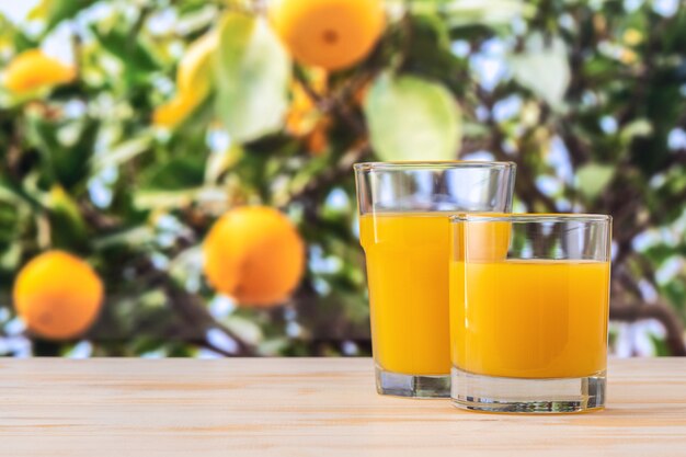 Two glasses of orange juice on nature background.