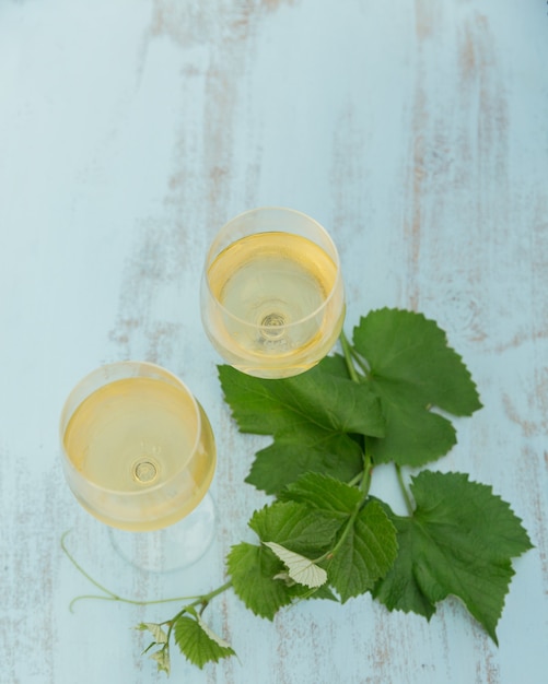 Two glasses of white wine with leaves of grape on light blue