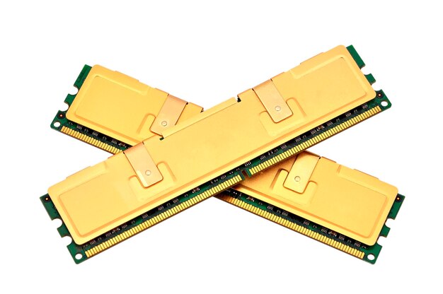 Two gold ram