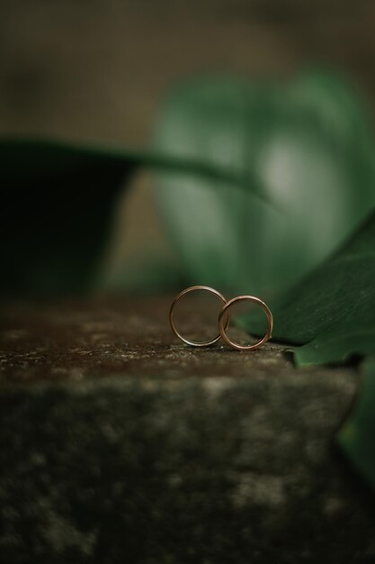 Two gold rings sit on a stone, one of which is a leaf.