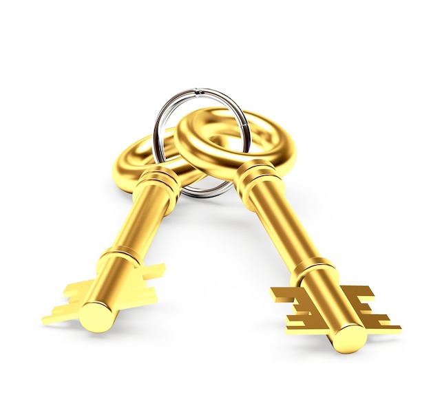 Two golden keys on a key ring