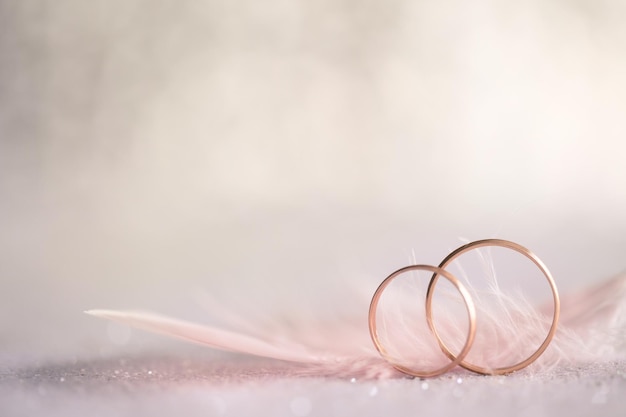 Two Golden Wedding Rings and Feather gentle background