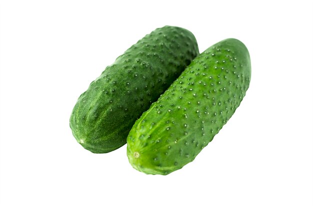 Two green cucumbers isolated on white background