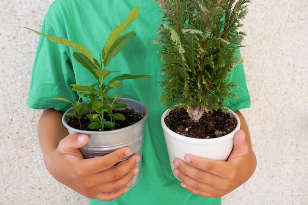 Two green pots