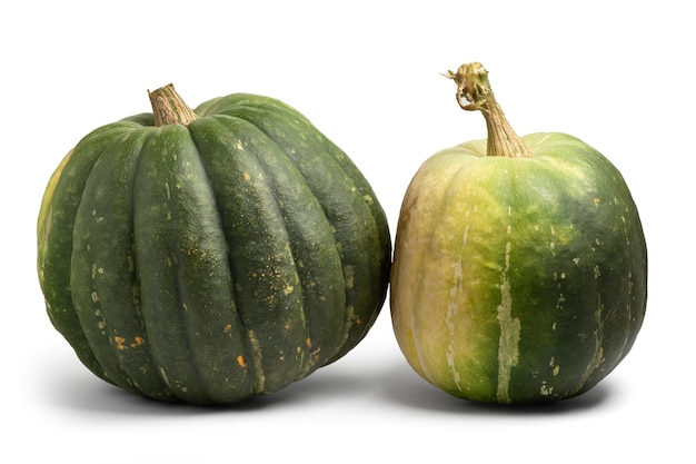 Two green pumpkins isolated on white with shadows