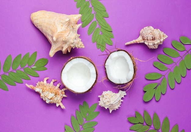 Two halves of chopped coconut on purple background with green leaves and seashell