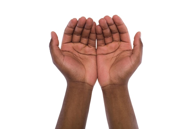 Two hand holding or offering something, isolated on white background. Open black male palms, handful gesture