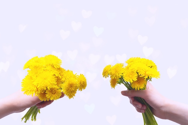 Two hands holding bouquets of yellow wildflowers dandelions in hand on a light background with bokeh in the form of transparent hearts, copy space, card. Love, romance, wedding concept.