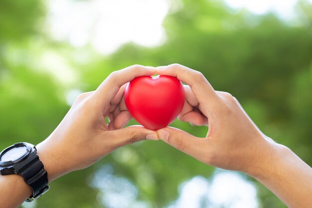 Photo two hands holding a heart-shaped red doll on green  world heart day