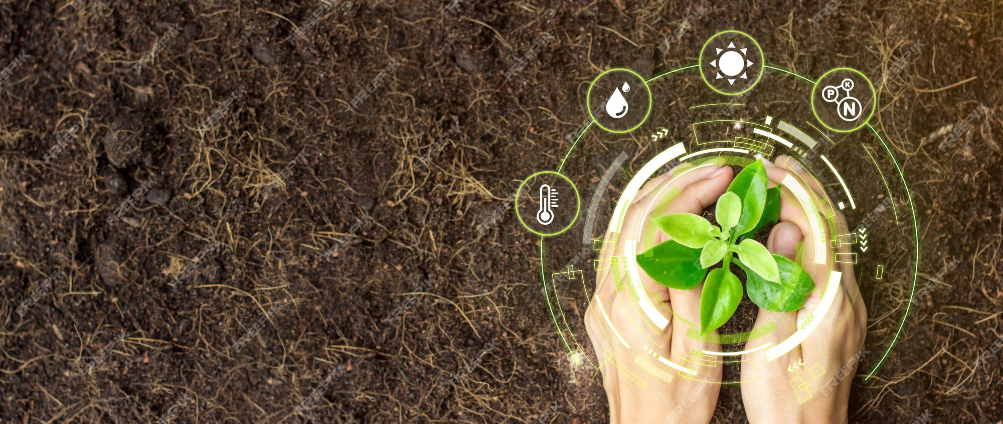 Premium Photo | Two hands holding young plant with cyber display of