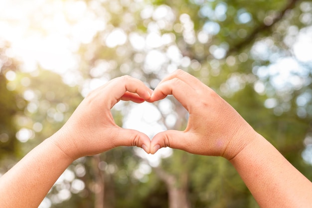 Two hands intertwined in a heart shape nature background