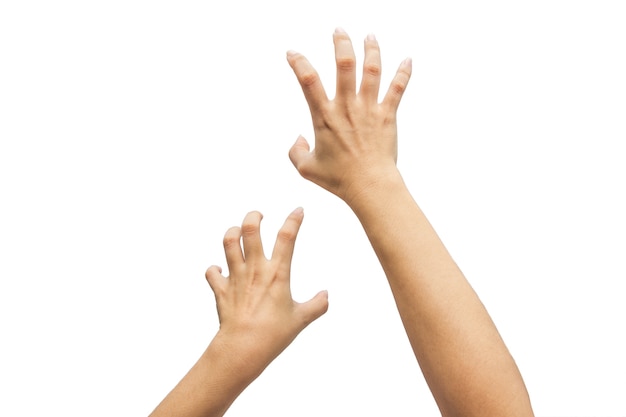 Two hands isolated on white background