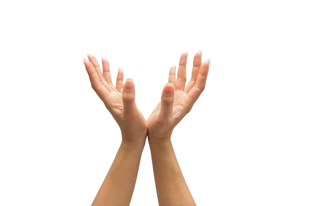 Two hands isolated on white background