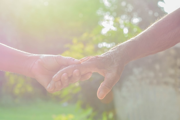 Two hands together and light in the evening.