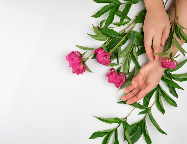 Photo two hands of a young girl with smooth skin and a bouquet of red peonies