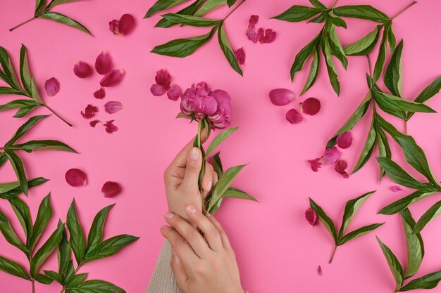 Photo two hands of a young girl with smooth skin