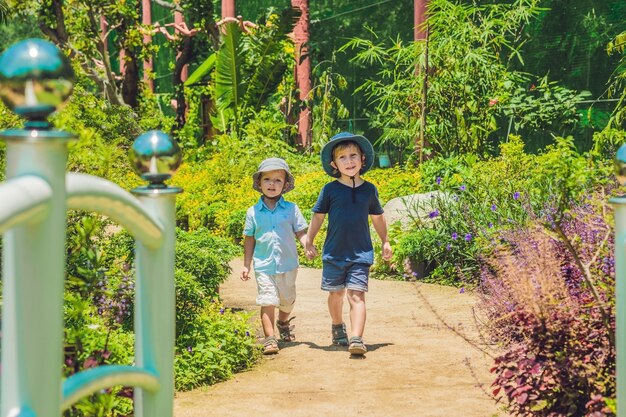 熱帯公園の公園の小道を一緒に走っている2人の幸せな兄弟